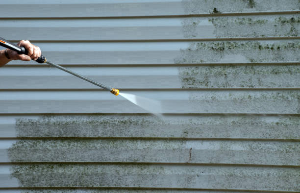 Best Roof Washing  in Marcus Hook, PA